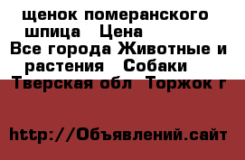 щенок померанского  шпица › Цена ­ 50 000 - Все города Животные и растения » Собаки   . Тверская обл.,Торжок г.